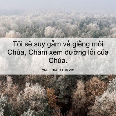 Picture 06 - Thánh Thi 119:15 VIE - Tôi sẽ suy gẫm về giềng mối Chúa, - Bible Verse Picture