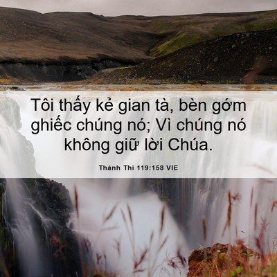 Picture 06 - Thánh Thi 119:158 VIE - Tôi thấy kẻ gian tà, bèn gớm ghiếc - Bible Verse Picture