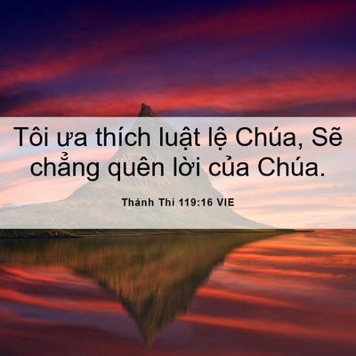 Picture 06 - Thánh Thi 119:16 VIE - Tôi ưa thích luật lệ Chúa, Sẽ chẳng - Bible Verse Picture