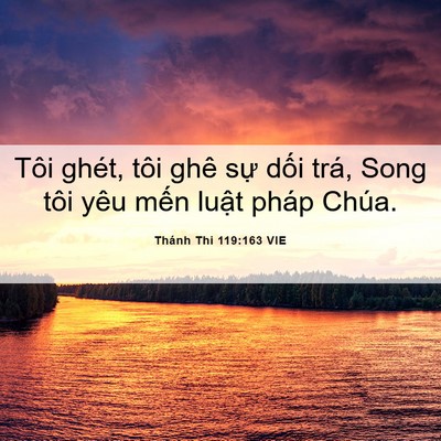 Picture 06 - Thánh Thi 119:163 VIE - Tôi ghét, tôi ghê sự dối trá, Song tôi - Bible Verse Picture