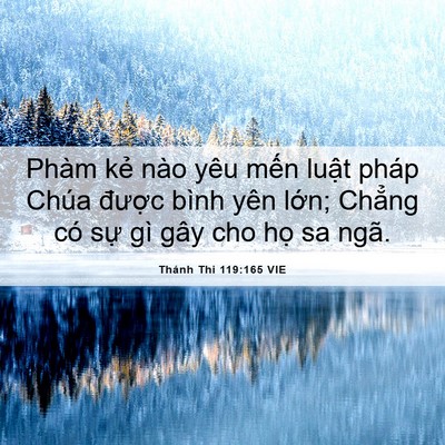 Picture 06 - Thánh Thi 119:165 VIE - Phàm kẻ nào yêu mến luật pháp Chúa - Bible Verse Picture