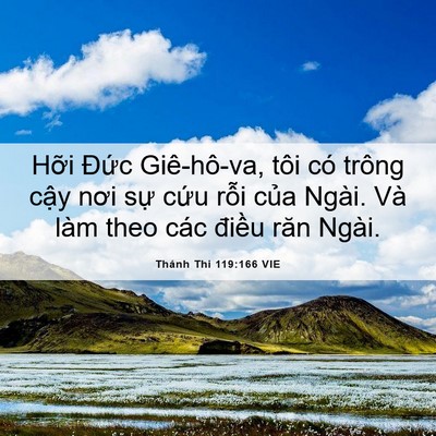 Picture 06 - Thánh Thi 119:166 VIE - Hỡi Đức Giê-hô-va, tôi có trông cậy - Bible Verse Picture