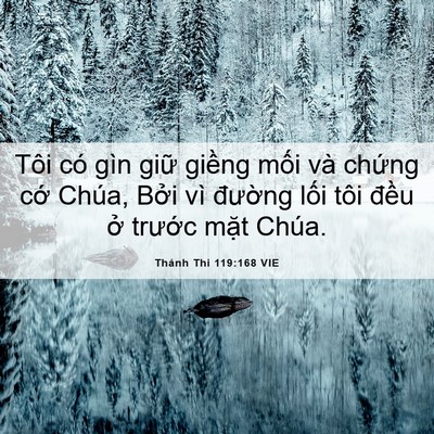 Picture 06 - Thánh Thi 119:168 VIE - Tôi có gìn giữ giềng mối và chứng - Bible Verse Picture