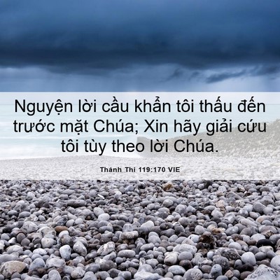 Picture 06 - Thánh Thi 119:170 VIE - Nguyện lời cầu khẩn tôi thấu đến - Bible Verse Picture