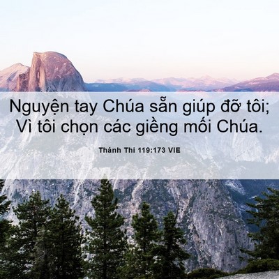 Picture 06 - Thánh Thi 119:173 VIE - Nguyện tay Chúa sẵn giúp đỡ tôi; Vì - Bible Verse Picture