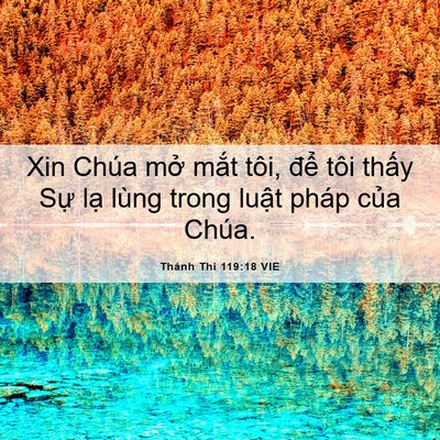 Picture 06 - Thánh Thi 119:18 VIE - Xin Chúa mở mắt tôi, để tôi thấy Sự - Bible Verse Picture