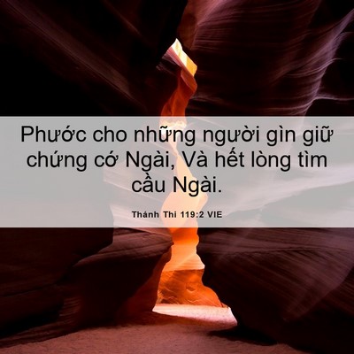 Picture 06 - Thánh Thi 119:2 VIE - Phước cho những người gìn giữ chứng - Bible Verse Picture