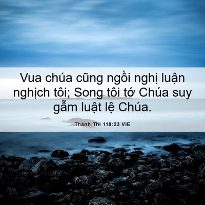 Picture 06 - Thánh Thi 119:23 VIE - Vua chúa cũng ngồi nghị luận nghịch - Bible Verse Picture