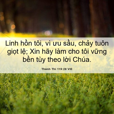 Picture 06 - Thánh Thi 119:28 VIE - Linh hồn tôi, vì ưu sầu, chảy tuôn - Bible Verse Picture