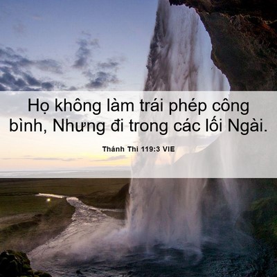 Picture 06 - Thánh Thi 119:3 VIE - Họ không làm trái phép công bình, Nhưng - Bible Verse Picture