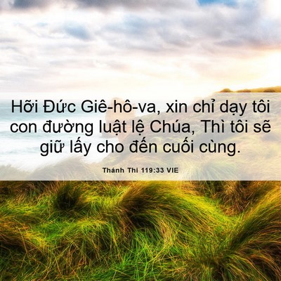 Picture 06 - Thánh Thi 119:33 VIE - Hỡi Đức Giê-hô-va, xin chỉ dạy tôi - Bible Verse Picture