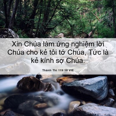 Picture 06 - Thánh Thi 119:38 VIE - Xin Chúa làm ứng nghiệm lời Chúa cho - Bible Verse Picture