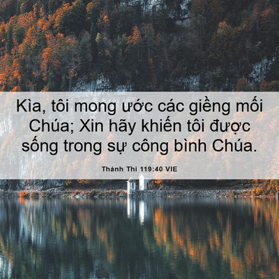 Picture 06 - Thánh Thi 119:40 VIE - Kìa, tôi mong ước các giềng mối Chúa; - Bible Verse Picture