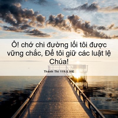 Picture 06 - Thánh Thi 119:5 VIE - Ô! chớ chi đường lối tôi được - Bible Verse Picture