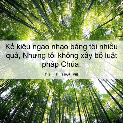 Picture 06 - Thánh Thi 119:51 VIE - Kẻ kiêu ngạo nhạo báng tôi nhiều quá, - Bible Verse Picture
