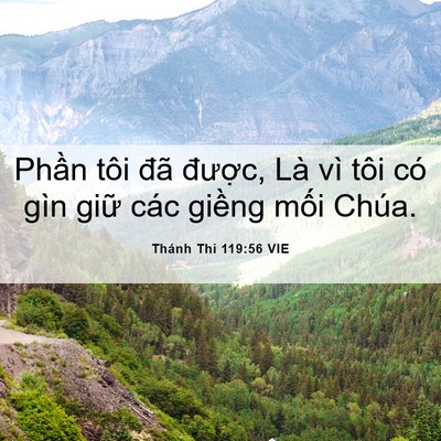 Picture 06 - Thánh Thi 119:56 VIE - Phần tôi đã được, Là vì tôi có gìn - Bible Verse Picture