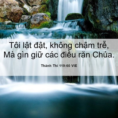 Picture 06 - Thánh Thi 119:60 VIE - Tôi lật đật, không chậm trễ, Mà gìn - Bible Verse Picture