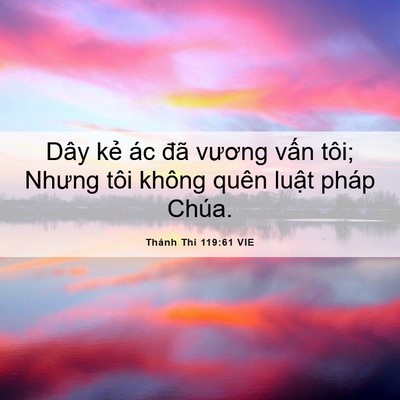 Picture 06 - Thánh Thi 119:61 VIE - Dây kẻ ác đã vương vấn tôi; Nhưng - Bible Verse Picture