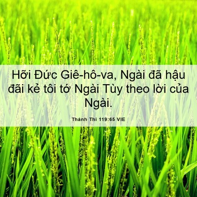 Picture 06 - Thánh Thi 119:65 VIE - Hỡi Đức Giê-hô-va, Ngài đã hậu đãi - Bible Verse Picture