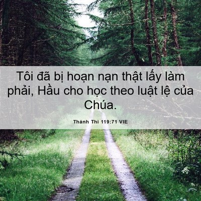 Picture 06 - Thánh Thi 119:71 VIE - Tôi đã bị hoạn nạn thật lấy làm - Bible Verse Picture