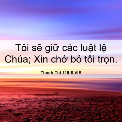 Picture 06 - Thánh Thi 119:8 VIE - Tôi sẽ giữ các luật lệ Chúa; Xin chớ - Bible Verse Picture