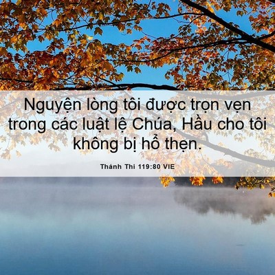 Picture 06 - Thánh Thi 119:80 VIE - Nguyện lòng tôi được trọn vẹn trong - Bible Verse Picture