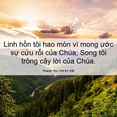 Picture 06 - Thánh Thi 119:81 VIE - Linh hồn tôi hao mòn vì mong ước sự - Bible Verse Picture