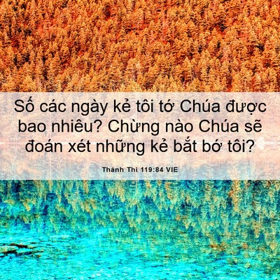 Picture 06 - Thánh Thi 119:84 VIE - Số các ngày kẻ tôi tớ Chúa được bao - Bible Verse Picture