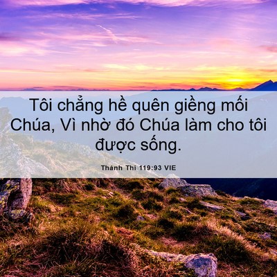 Picture 06 - Thánh Thi 119:93 VIE - Tôi chẳng hề quên giềng mối Chúa, Vì - Bible Verse Picture