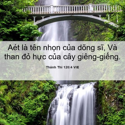 Picture 06 - Thánh Thi 120:4 VIE - Aét là tên nhọn của dõng sĩ, Và than - Bible Verse Picture