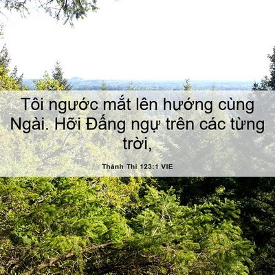 Picture 06 - Thánh Thi 123:1 VIE - Tôi ngước mắt lên hướng cùng Ngài. - Bible Verse Picture