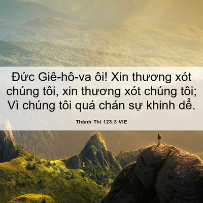 Picture 06 - Thánh Thi 123:3 VIE - Đức Giê-hô-va ôi! Xin thương xót chúng - Bible Verse Picture