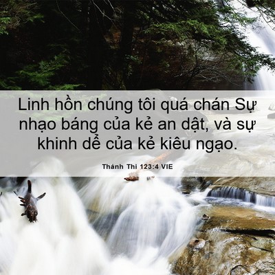 Picture 06 - Thánh Thi 123:4 VIE - Linh hồn chúng tôi quá chán Sự nhạo - Bible Verse Picture