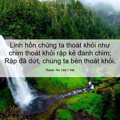 Picture 06 - Thánh Thi 124:7 VIE - Linh hồn chúng ta thoát khỏi như chim - Bible Verse Picture