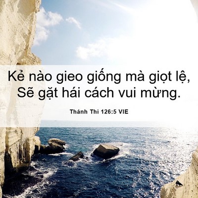 Picture 06 - Thánh Thi 126:5 VIE - Kẻ nào gieo giống mà giọt lệ, Sẽ - Bible Verse Picture