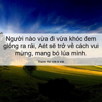Picture 06 - Thánh Thi 126:6 VIE - Người nào vừa đi vừa khóc đem giống - Bible Verse Picture