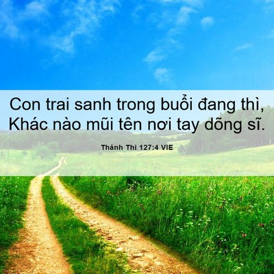 Picture 06 - Thánh Thi 127:4 VIE - Con trai sanh trong buổi đang thì, Khác nào - Bible Verse Picture