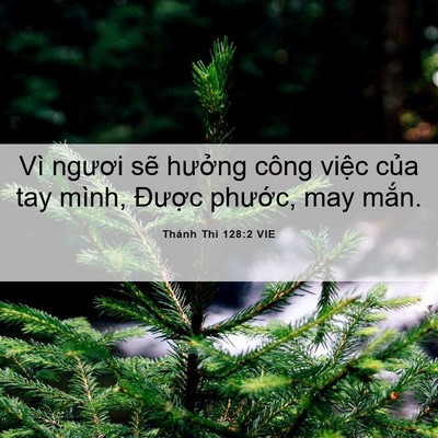 Picture 06 - Thánh Thi 128:2 VIE - Vì ngươi sẽ hưởng công việc của tay - Bible Verse Picture