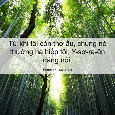 Picture 06 - Thánh Thi 129:1 VIE - Từ khi tôi còn thơ ấu, chúng nó - Bible Verse Picture
