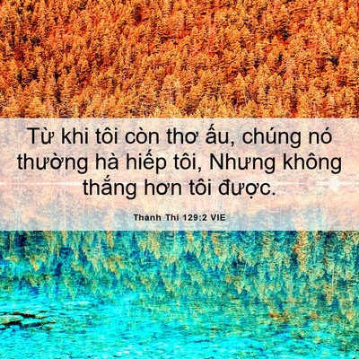 Picture 06 - Thánh Thi 129:2 VIE - Từ khi tôi còn thơ ấu, chúng nó - Bible Verse Picture