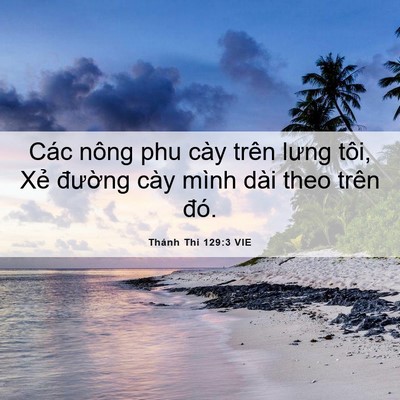 Picture 06 - Thánh Thi 129:3 VIE - Các nông phu cày trên lưng tôi, Xẻ - Bible Verse Picture