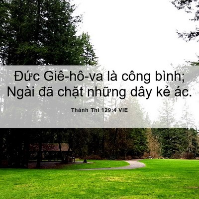 Picture 06 - Thánh Thi 129:4 VIE - Đức Giê-hô-va là công bình; Ngài đã - Bible Verse Picture