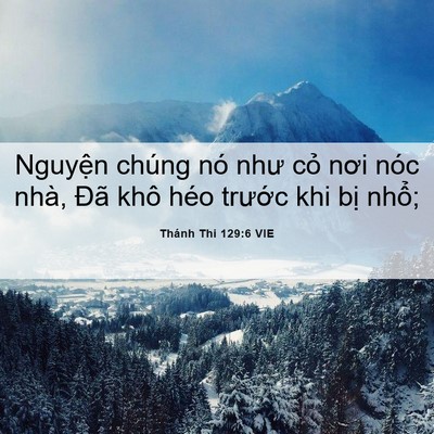 Picture 06 - Thánh Thi 129:6 VIE - Nguyện chúng nó như cỏ nơi nóc nhà, - Bible Verse Picture
