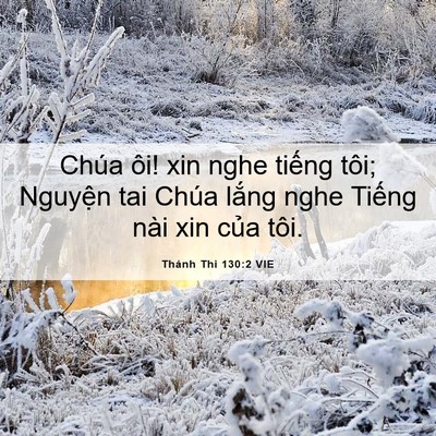 Picture 06 - Thánh Thi 130:2 VIE - Chúa ôi! xin nghe tiếng tôi; Nguyện tai - Bible Verse Picture