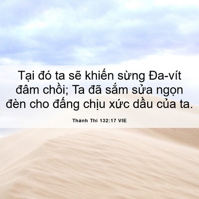 Picture 06 - Thánh Thi 132:17 VIE - Tại đó ta sẽ khiến sừng Đa-vít đâm - Bible Verse Picture