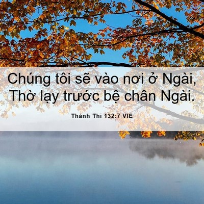 Picture 06 - Thánh Thi 132:7 VIE - Chúng tôi sẽ vào nơi ở Ngài, Thờ lạy - Bible Verse Picture