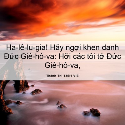 Picture 06 - Thánh Thi 135:1 VIE - Ha-lê-lu-gia! Hãy ngợi khen danh Đức - Bible Verse Picture