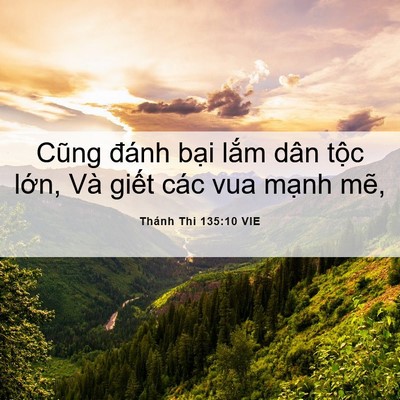 Picture 06 - Thánh Thi 135:10 VIE - Cũng đánh bại lắm dân tộc lớn, Và - Bible Verse Picture
