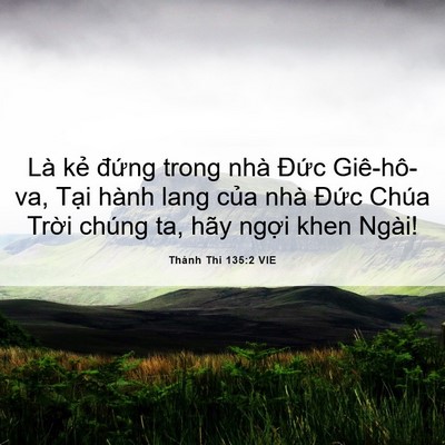 Picture 06 - Thánh Thi 135:2 VIE - Là kẻ đứng trong nhà Đức Giê-hô-va, - Bible Verse Picture