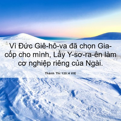 Picture 06 - Thánh Thi 135:4 VIE - Vì Đức Giê-hô-va đã chọn Gia-cốp cho - Bible Verse Picture